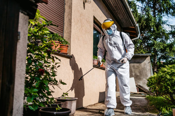 Insect Control in Hometown, IL