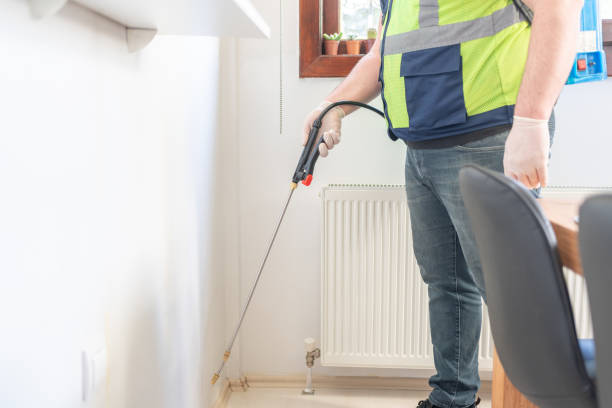 Best Mosquito Control Services  in Hometown, IL